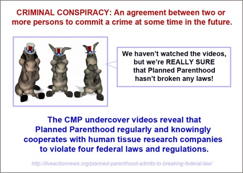 CRIMINAL CONSPIRACY and donkeys