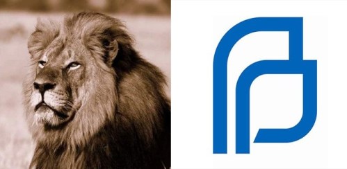 Lion PP