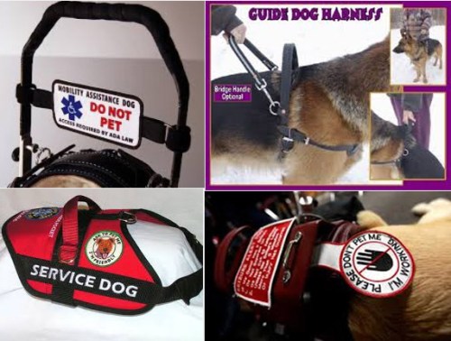 Service dog harnesses