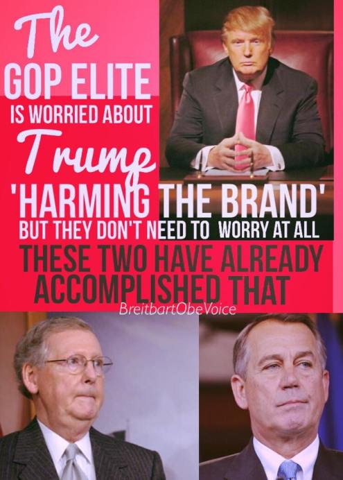 11698505_703751546398298_2688530026489188785_n