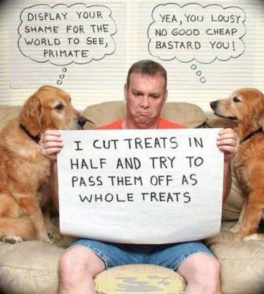 11817120_734613060018109_3469627207253628810_n