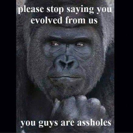 11855763_738096056336476_1672947548075474780_n