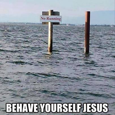 11891151_736781059801309_8271646005218301273_n