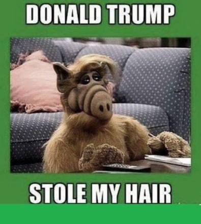 11925999_740995366046545_8203148816589613738_n