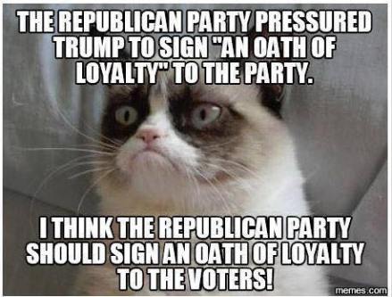 11986539_982255628482415_7990864514525957380_n