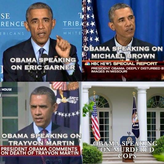 11987117_1135559119806190_8883578094392179078_n