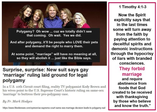 2015_09 02 Polygamy up next