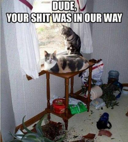 270165_549544838416909_1962654555_n