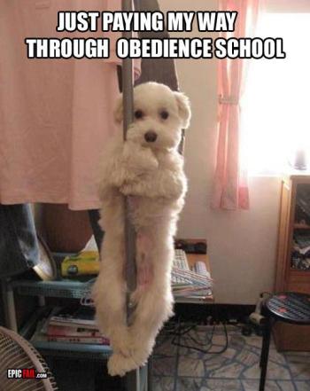 391507_442207849153482_420861714_n