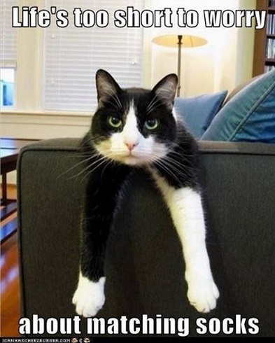 CAT matching socks - KK