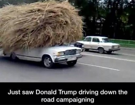 TRUMP car PN