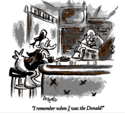 TRUMP Duck complaint PN