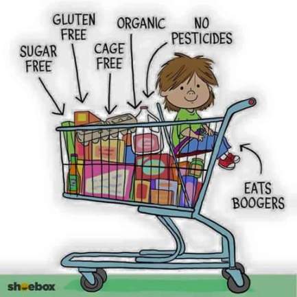 11855694_10153217545885756_2187791937539490053_n