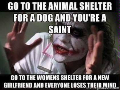 12088396_439775336228541_4738212912003974379_n