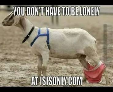 12122513_1083946464949535_6838603272617812894_n