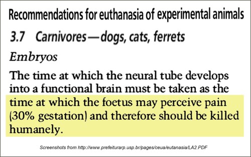 Euthanizing unborn carnivore