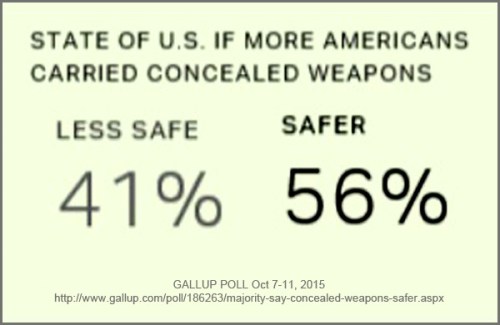 GALLUP conceal carry