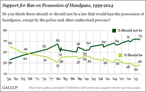 GALLUP hand gun owner