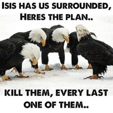 12219364_1699817920231382_5920792337081848964_n