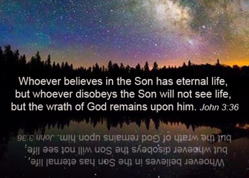 John 3 36
