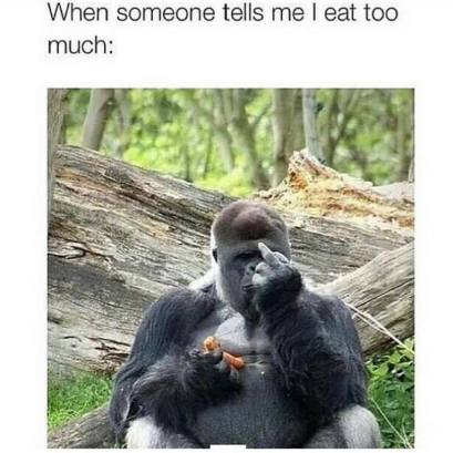 11891134_736403403172408_3813726992203673470_n