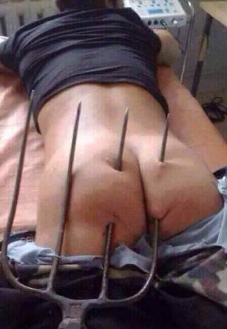 12274422_857845507670553_3359294214589157968_n