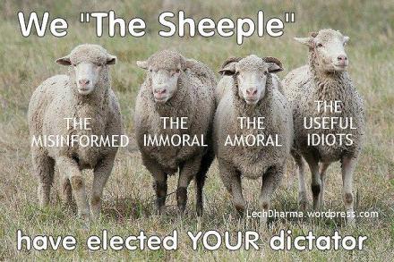 12341450_928224710597119_7324394384764849406_n