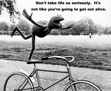 funny-Kermit-frog-life-serious1