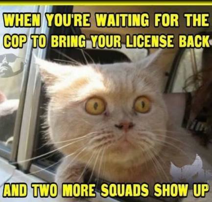 11221897_925643857481660_4137679876424244990_n