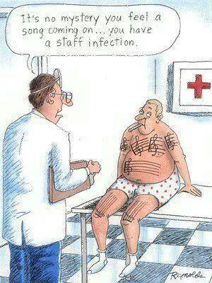 1510748_10151895301683603_2061953723_n