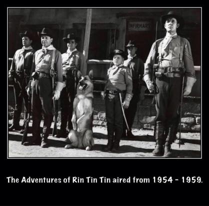 1962795_748300335299768_8102691421965618224_n