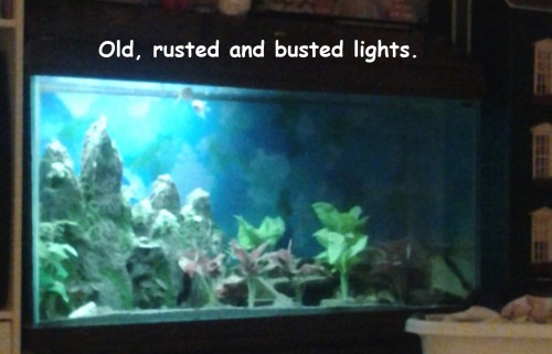 2015_12 24 90 w old light half broke