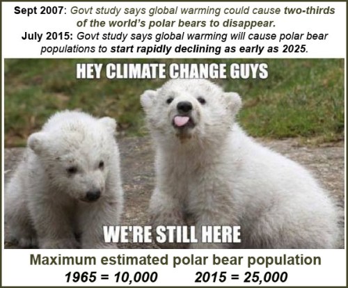 2016_01 01 Polar Bears