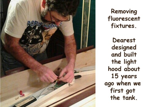 2016_01 03 Removing 15 yo fluor