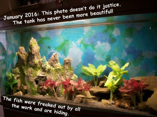 2016_01 05 Gorgeous tank w new LED light