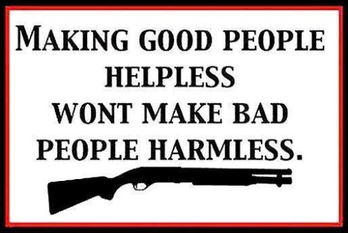 2d AMENDMENT harmless helpless