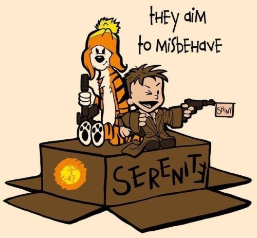CALVIN and Firefly