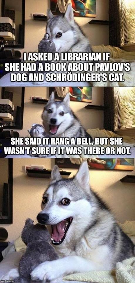DOG nerd humor