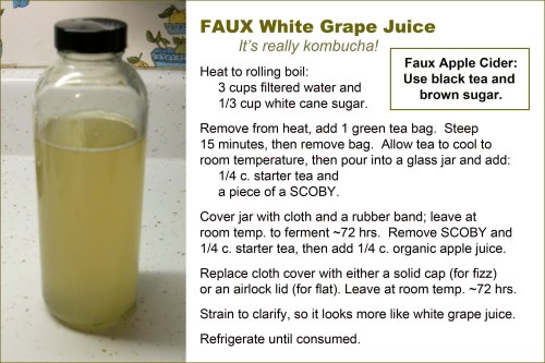 KOMBUCHA faux grape juice
