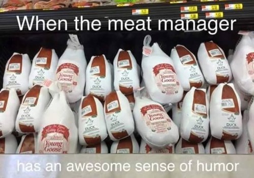 MEAT duck duck goose