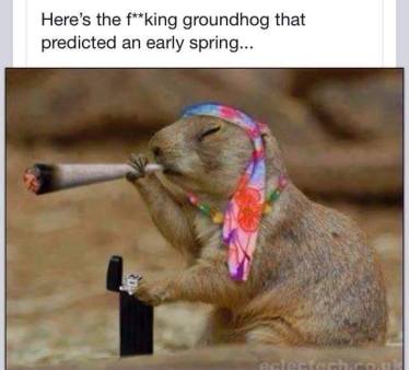 11082696_10205183980573626_289740229_n