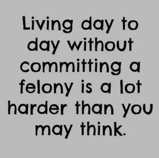 12219410_983149288394239_5254988047301090337_n