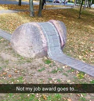 12728883_433616946841092_8275818685797420373_n