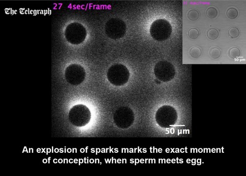 2016_04 Light show at conception