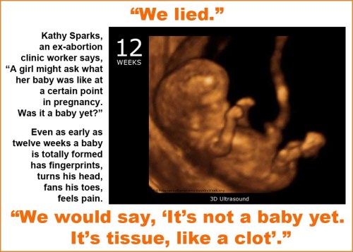 ABORTION We lied