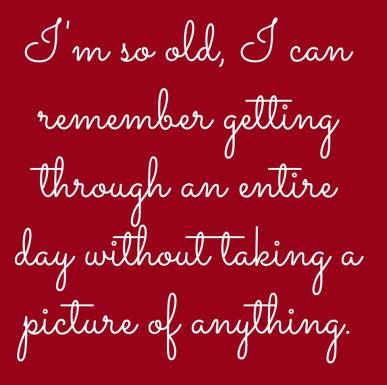 12321200_579519345544874_250549985373371592_n