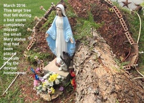 2016_03 Tree misses Mary