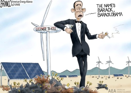 Obama license to kill birds