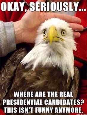 14067555_1216311895094607_1870280131656655626_n