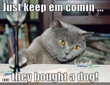 1001198_637443769600974_1524412857_n